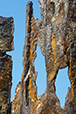 Patina 18